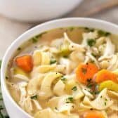 White bowl of chicken noodle soup with carrots