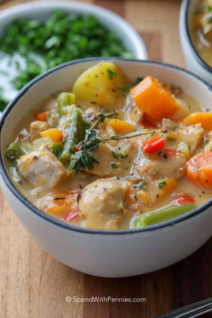 White bowl full of Chicken Stew